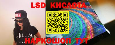 гидра Новодвинск