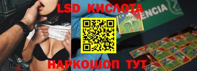 гидра Новодвинск
