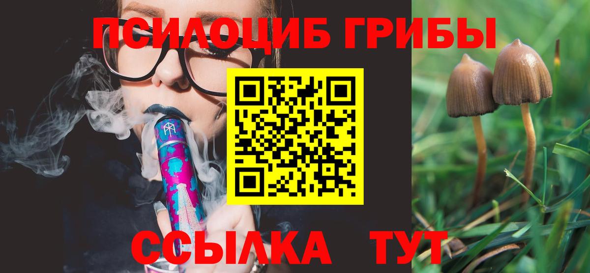 Галлюциногенные грибы GOLDEN TEACHER  Вход с VPN  Тайшет 